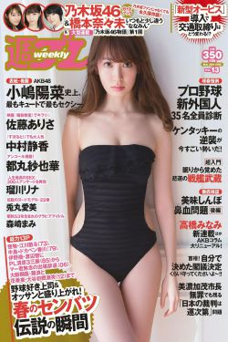 雷安车文