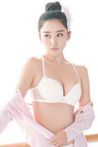 千里共婵娟